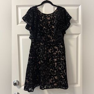 Foxiedox Black and Nude Velvet Lace Dress